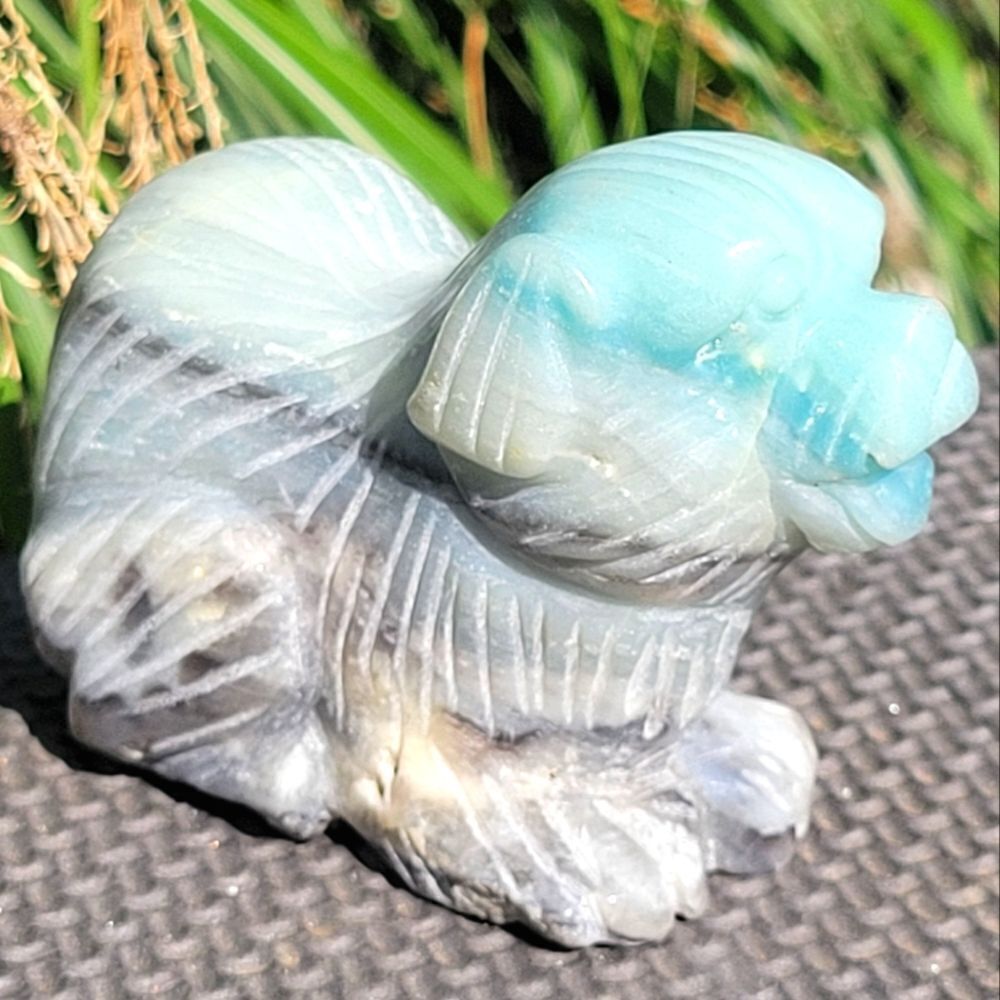 Caribbean Calcite Dog‎